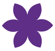 Cinnamon Hotels & Resorts logo